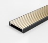 100AAGBL20-BG Linear Drain
